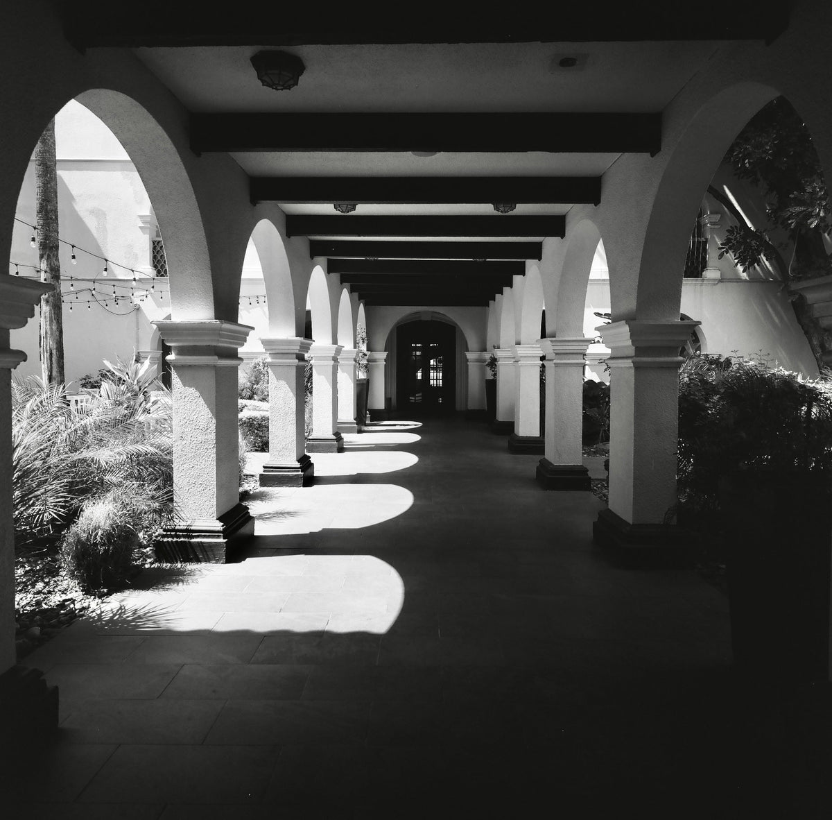 Columnata arqueada en el Hotel Casa de Palmas fotografiada con película en blanco y negro Rollei Superpan 200 35mm, revelada con la química estándar para blanco y negro.