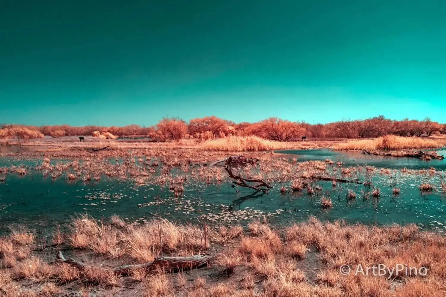A serene, surreal marshland scene with a vibrant teal sky and golden-brown reeds and grasses surrounding calm water.