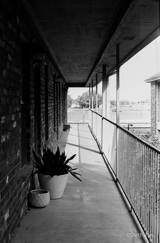 Covered brick walkway with a potted snake plant, McAllen — Ferrania P33 35mm, Pentax K1000