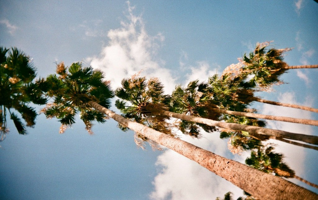 Fujifilm Fujicolor Superia X-tra 400 Color Film Sample Photos | RETO Pano 35