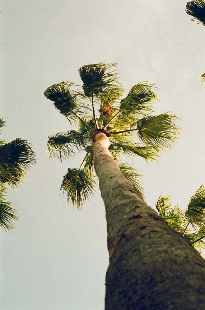 Lucky Color 400 Film Sample Photos