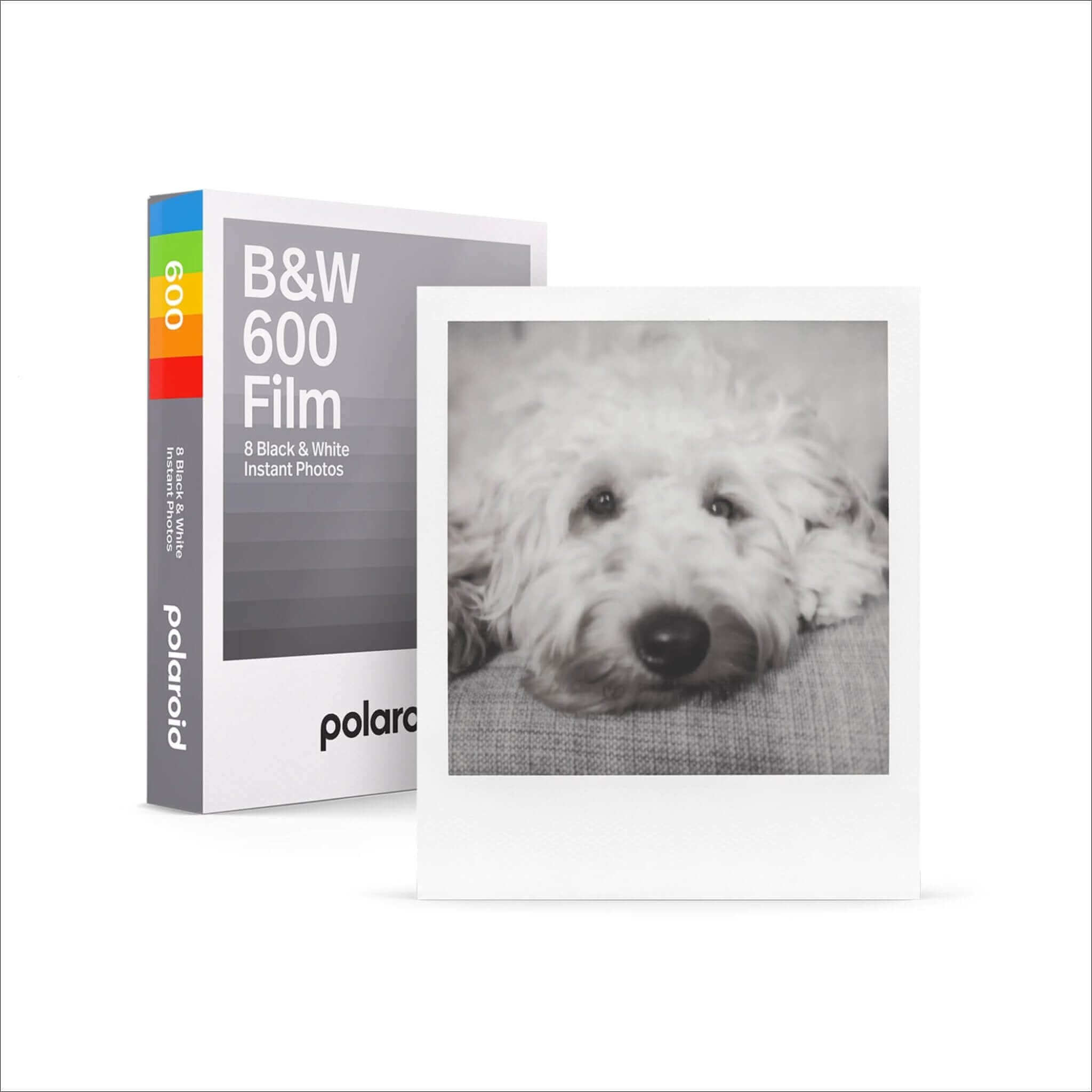 White polaroid b&w 600 film pack with a rainbow-colored spine and an instant photo of a fluffy dog.