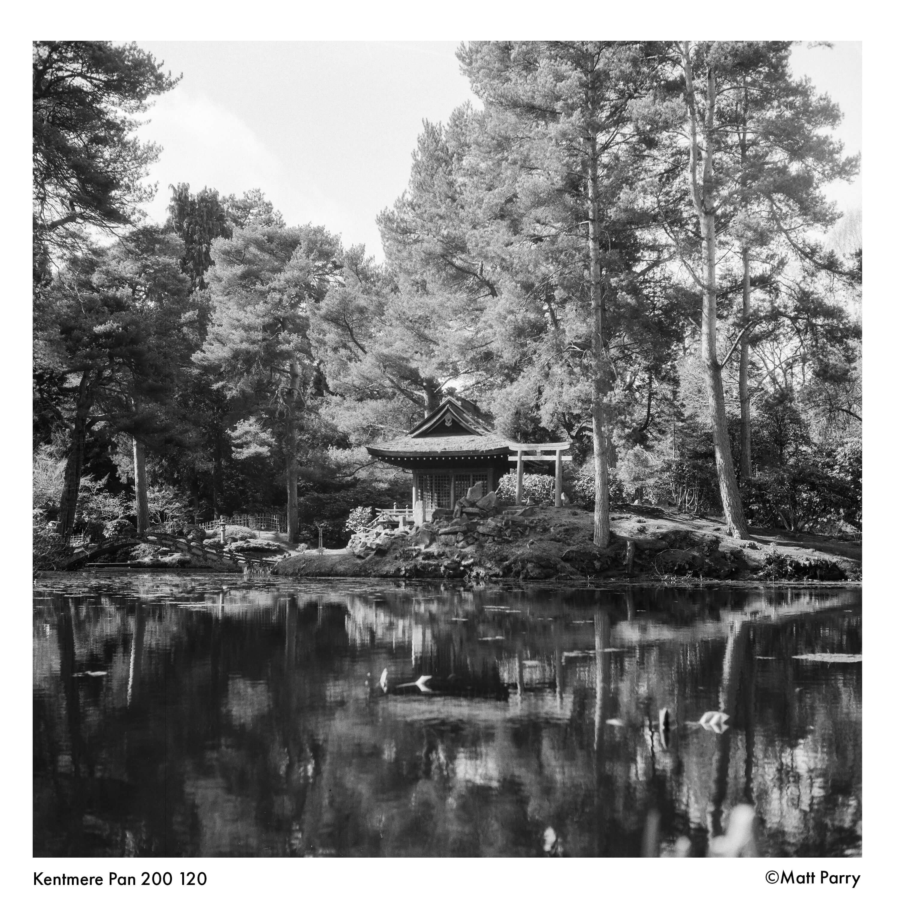 Traditional japanese pavilion with wooden structure and tiled roof, nestled among tall trees beside a calm pond.