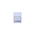 CatLABS X Film 100 Color C41 4x5 sheet film box