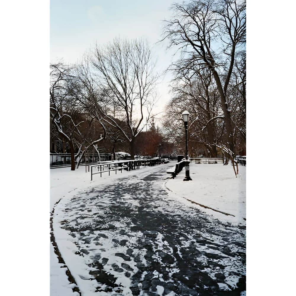Snow-covered park path winding through bare trees with lampposts and benches.
