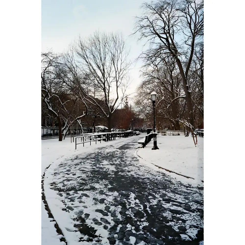Snow-covered park path winding through bare trees with lampposts and benches.