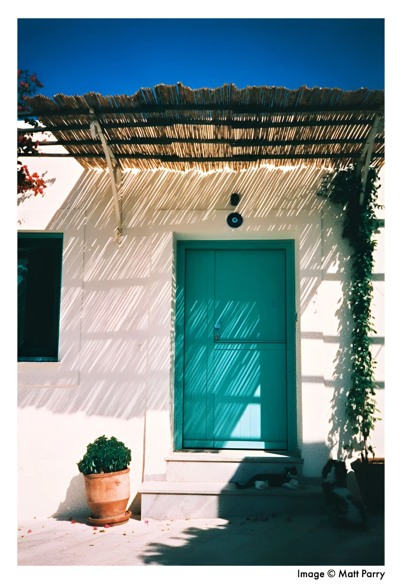 A vibrant teal-colored door with a simple rectangular design and vertical paneling, set within a white-walled entrance under a thatched roof.