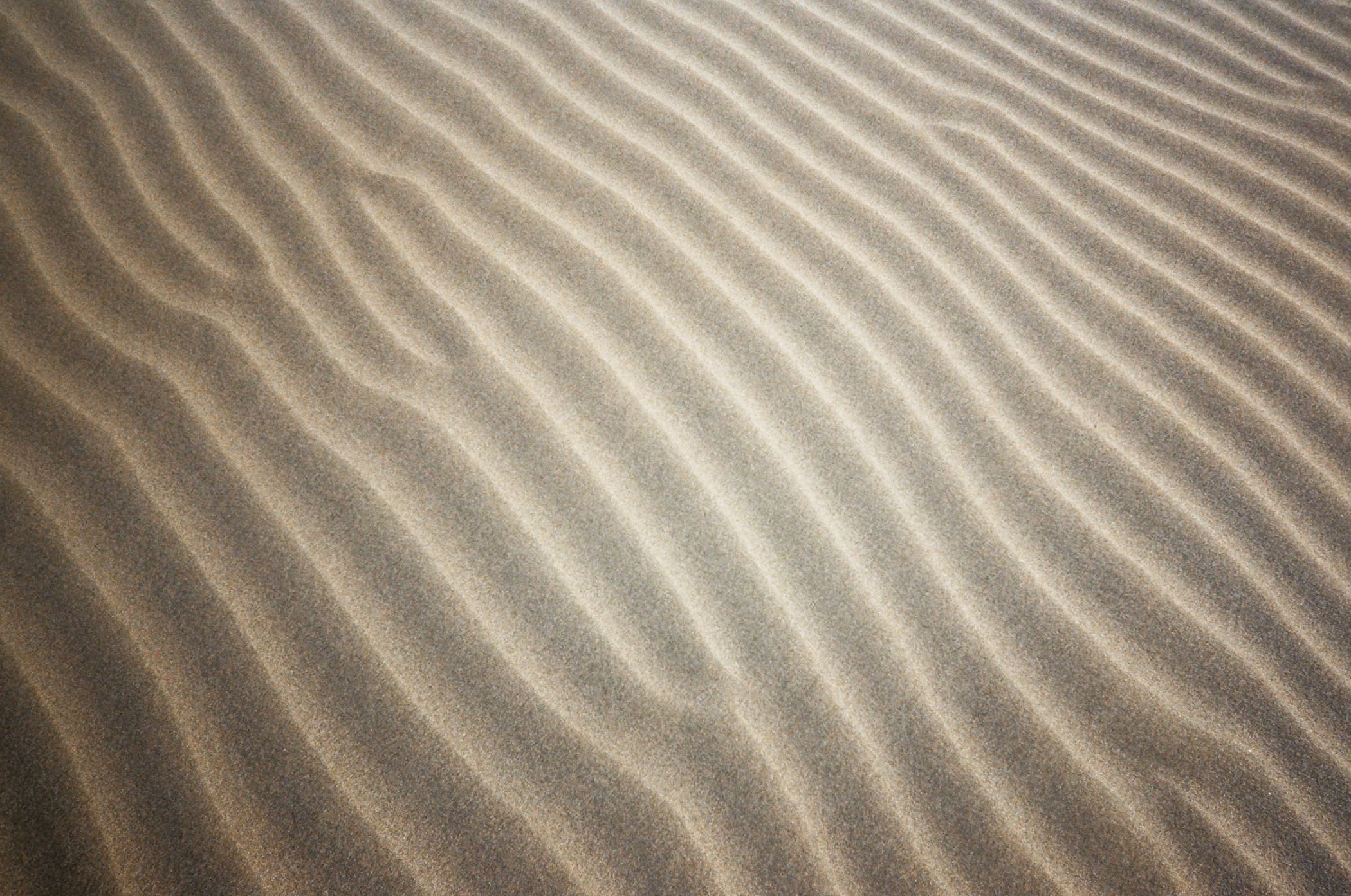 Fine, golden sand forms smooth, undulating ridges across the surface.