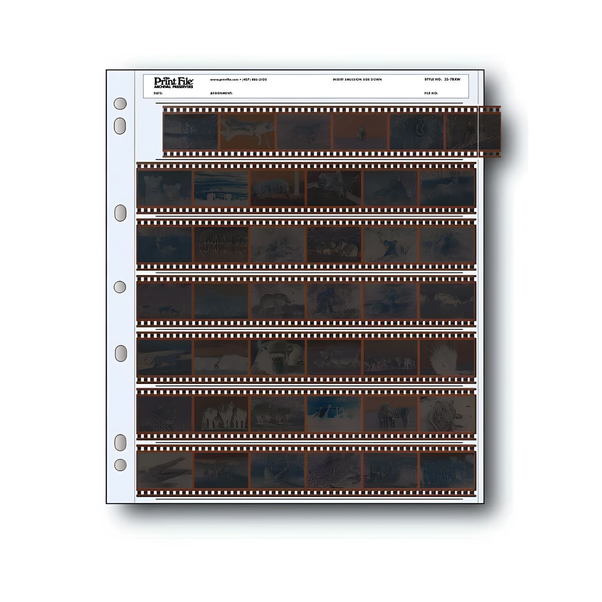 Print file 30-frame film strip organizer with six rows of dark, perforated negatives in a white binder page.