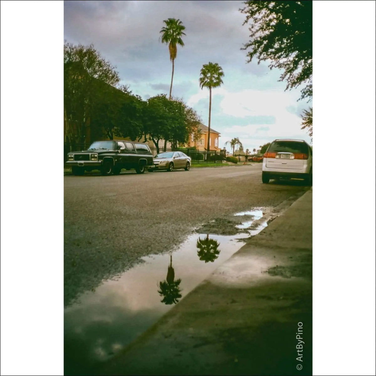 Street scene with palm trees reflected in a puddle, capturing a serene urban atmosphere.